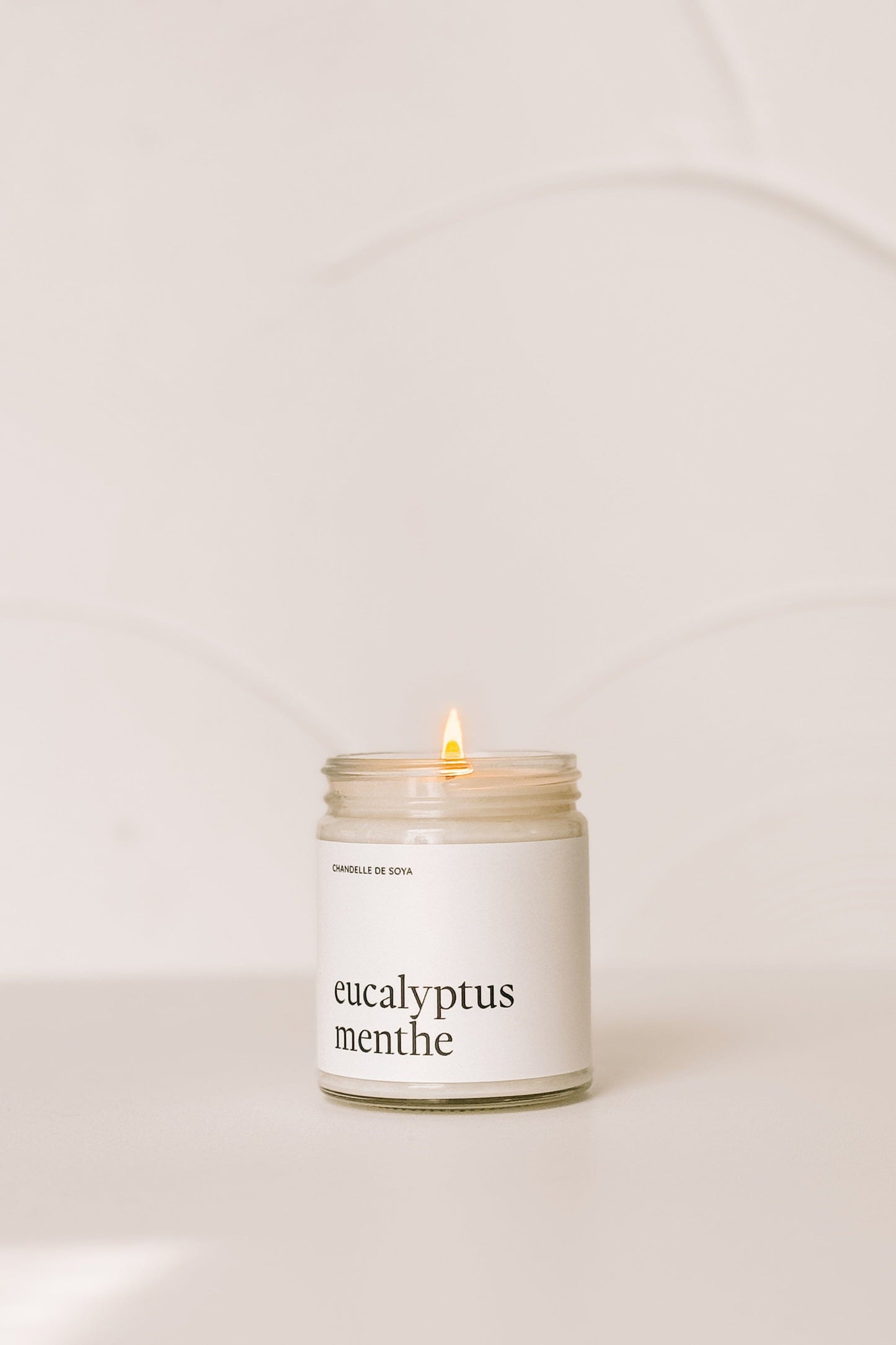 CHANDELLE DE SOYA - Huile essentielle - Eucalyptus Marée - Chandelles 