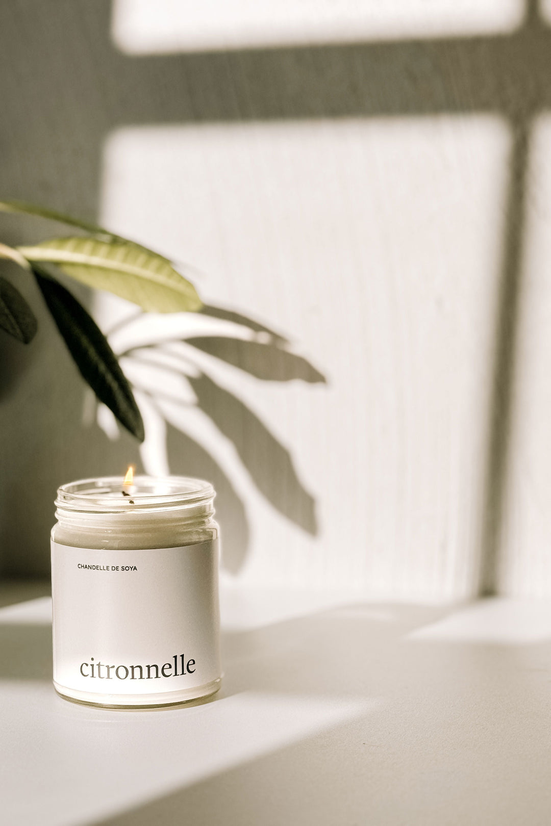 CHANDELLE DE SOYA - Intérieur &amp; extérieur - Huile essentielle - Citronnelle
