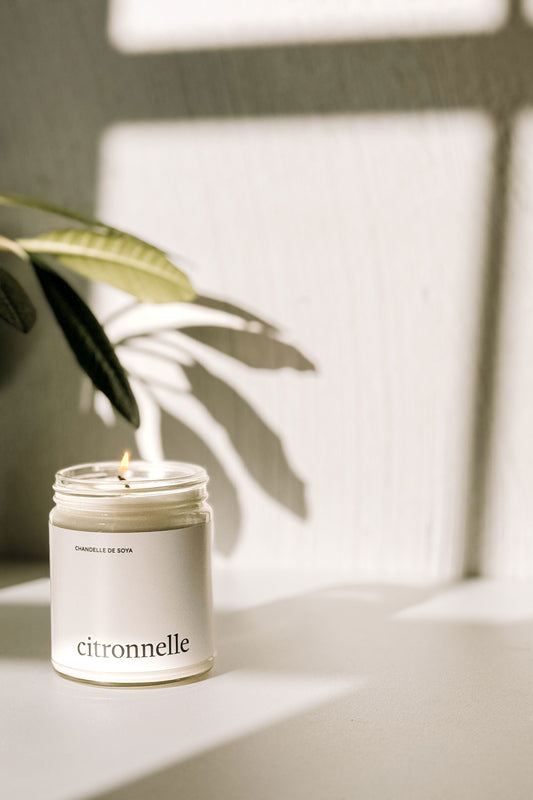 CHANDELLE DE SOYA - Intérieur & extérieur - Huile essentielle - Citronnelle Chandelles de soya Marée - Chandelles 