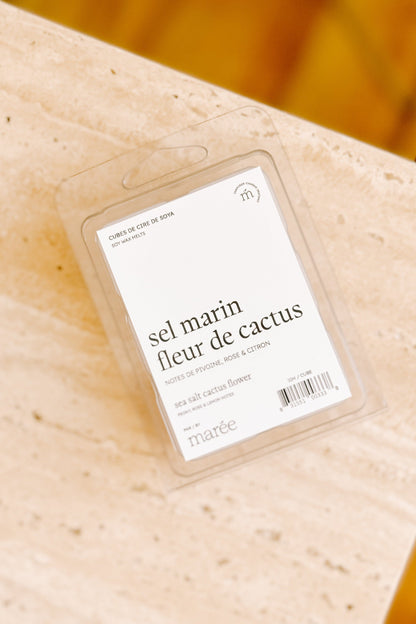 CUBES DE CIRE DE SOYA POUR DIFFUSEUR - Sel marin fleur de cactus Marée - Chandelles 