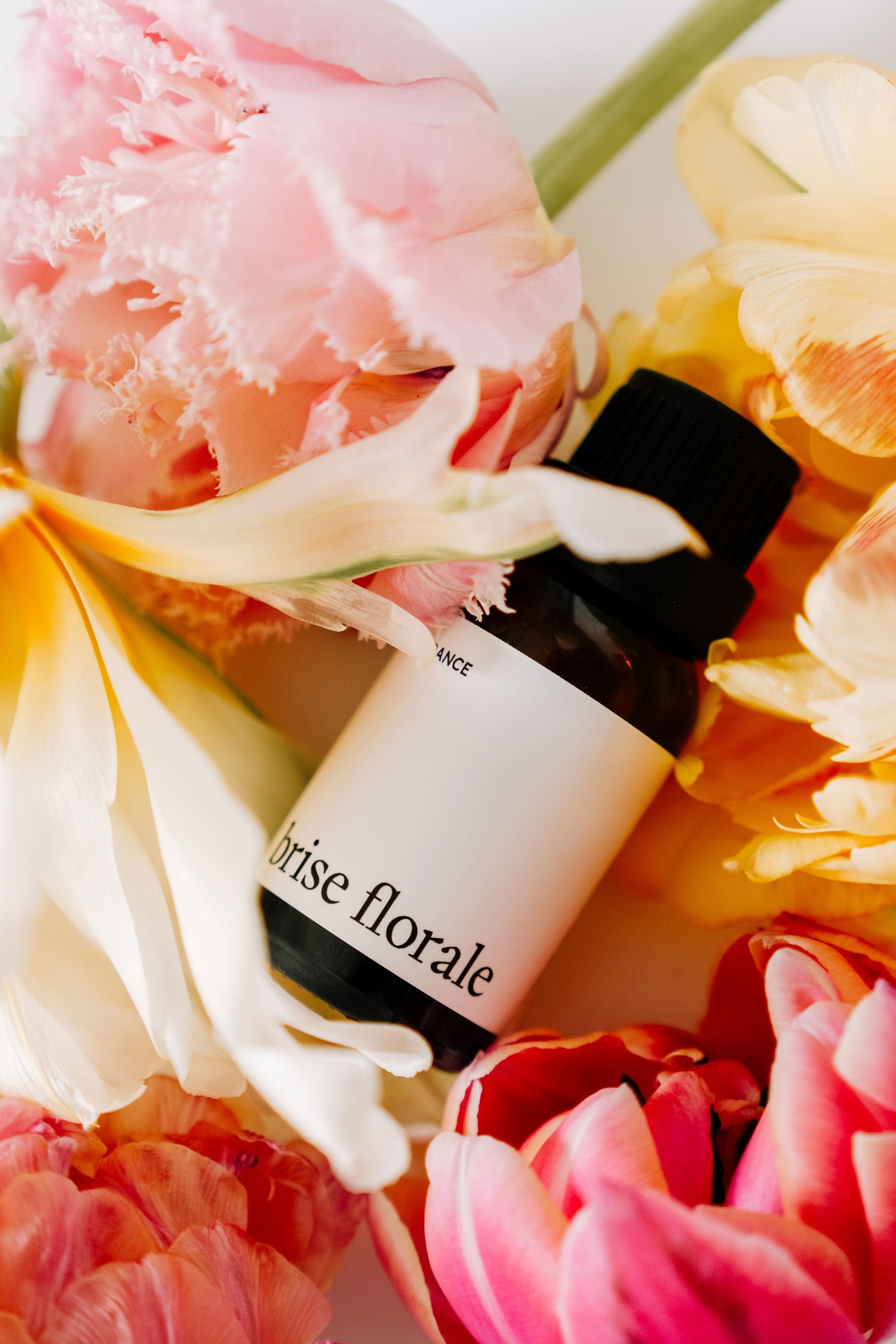 FRAGRANCE POUR BALLE DE SÉCHAGE - Brise florale