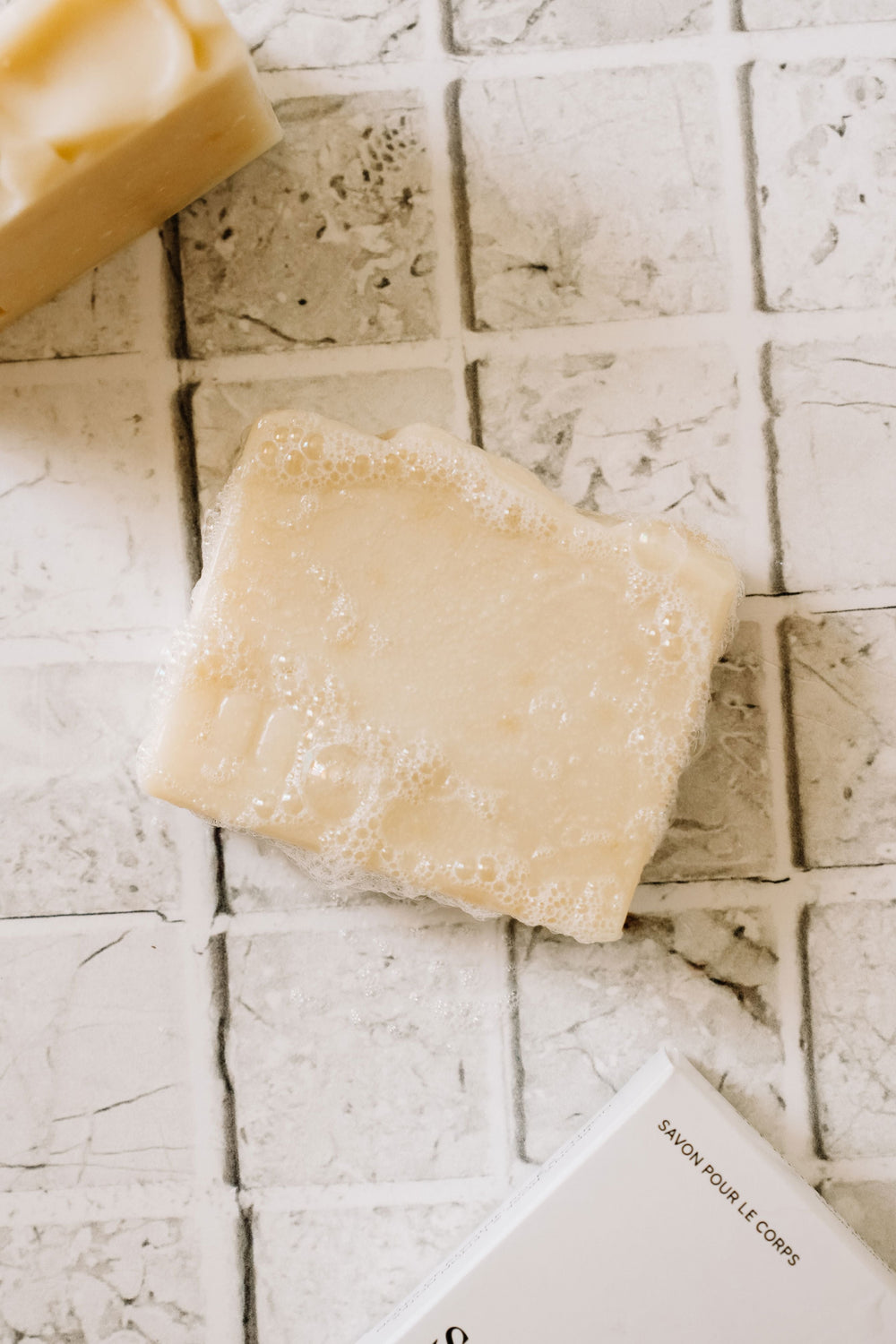 SAVON POUR LE CORPS - Sel marin fleur de cactus